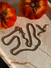 Load image into Gallery viewer, Edwardian Watch Chain