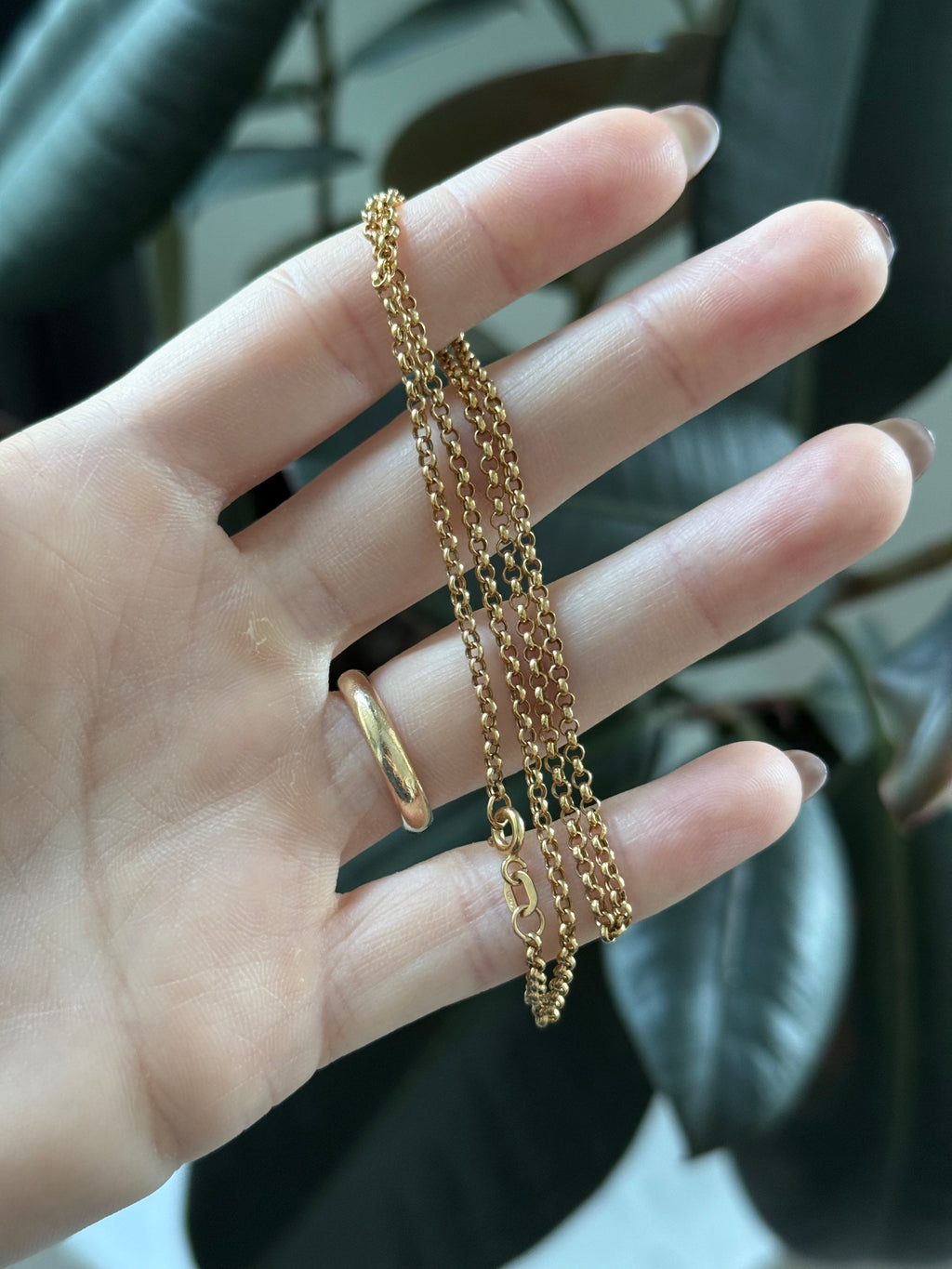 Dainty Rolo Chain