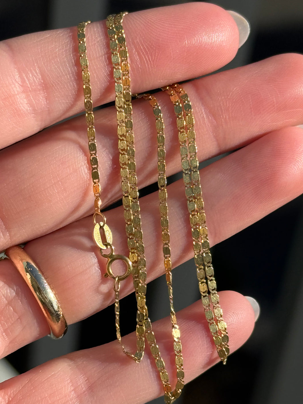 Solid Flat Snail Chain