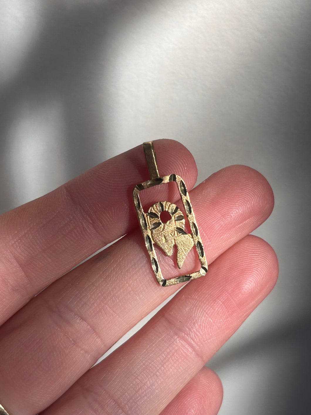 Aries Tag Charm