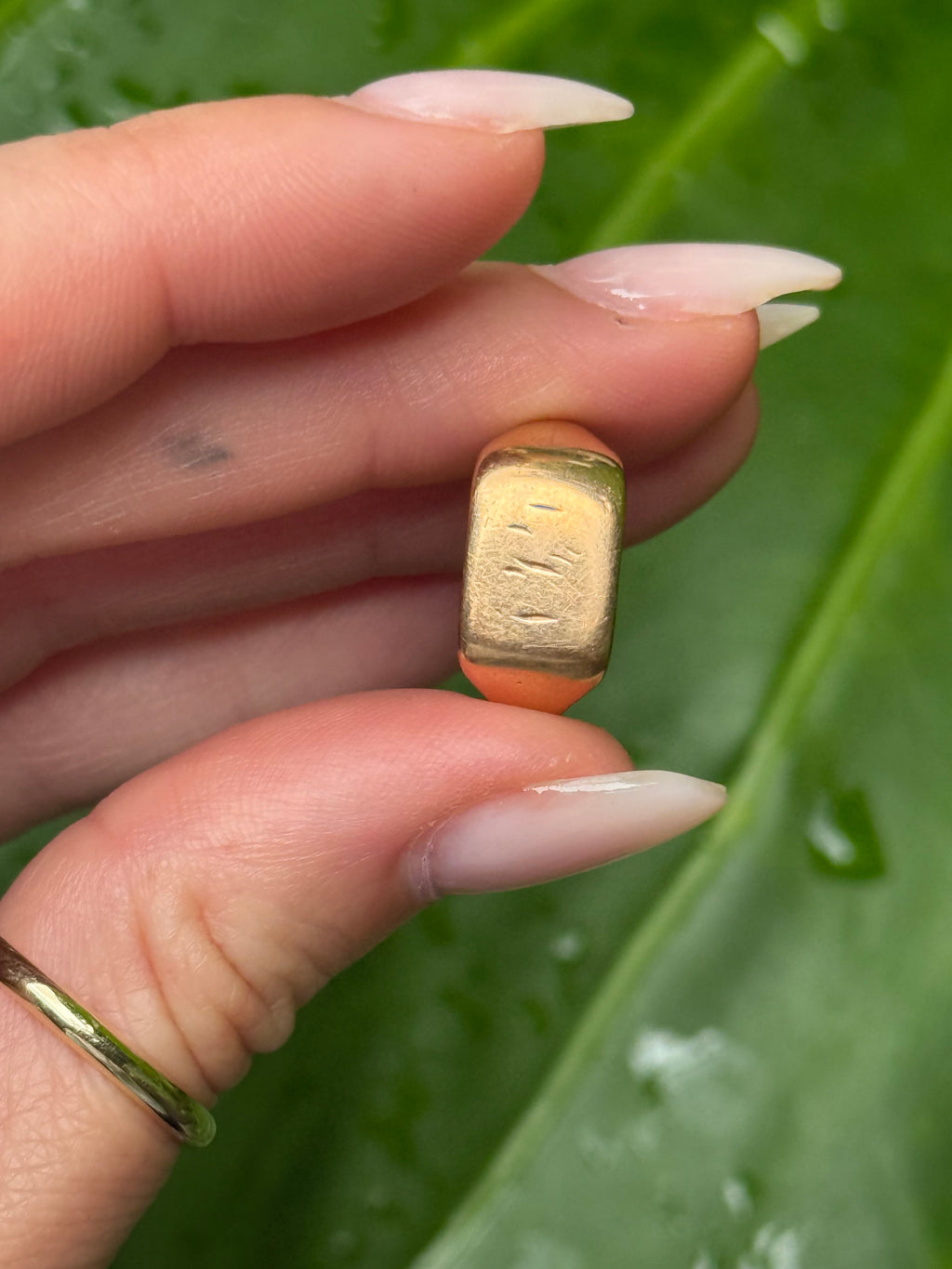 Antique Starburst Signet