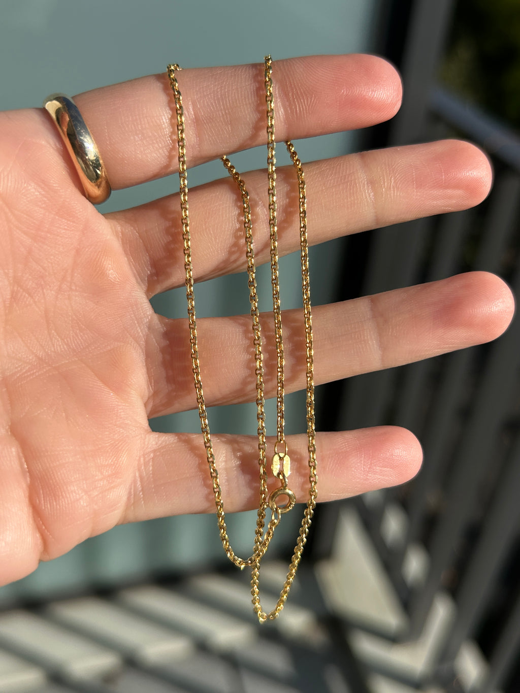 Everyday Biker Chain