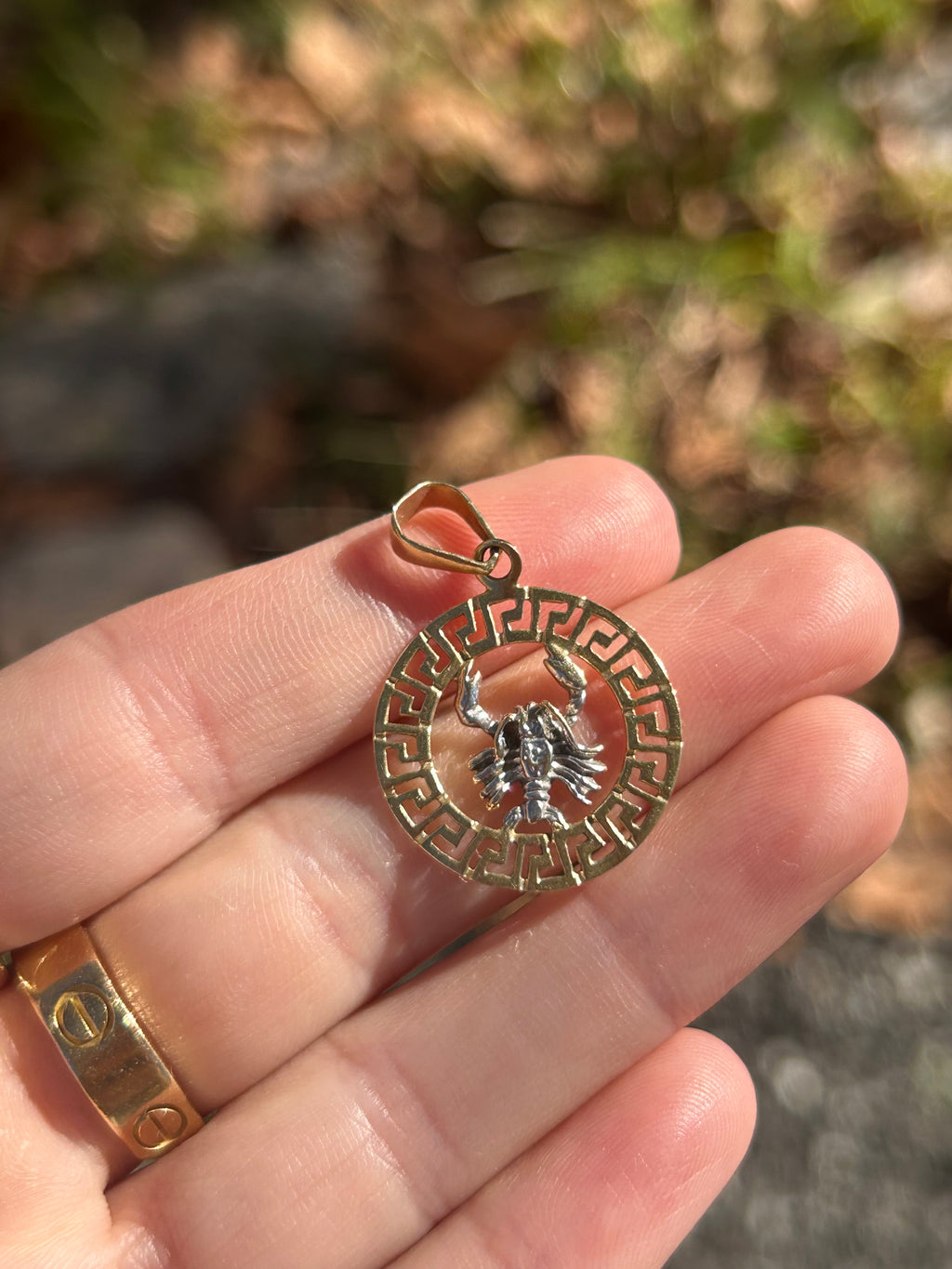 Greek Scorpio Charm