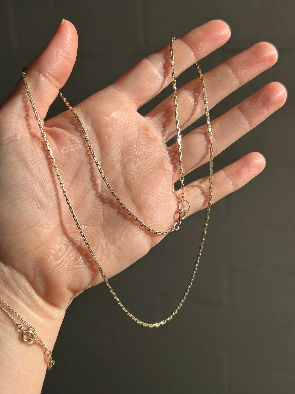 Solid Long Biker Chain