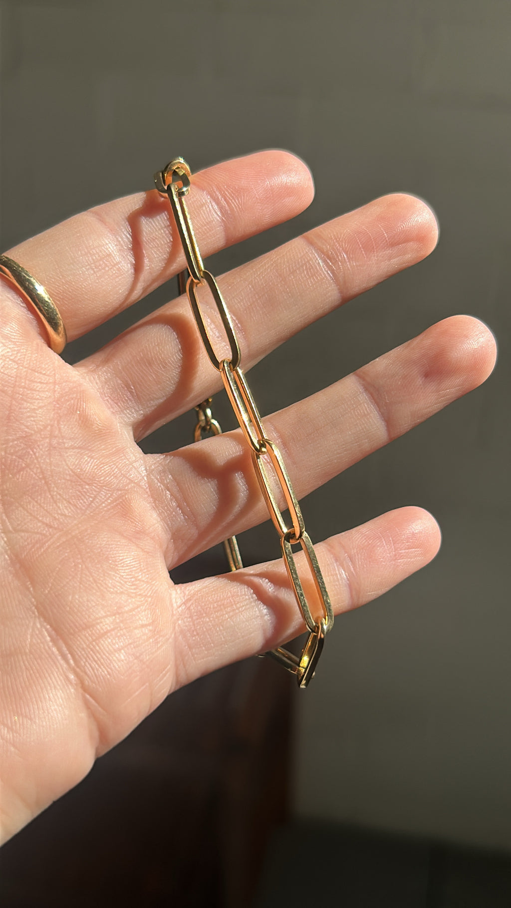 Solid Paperclip Bracelet