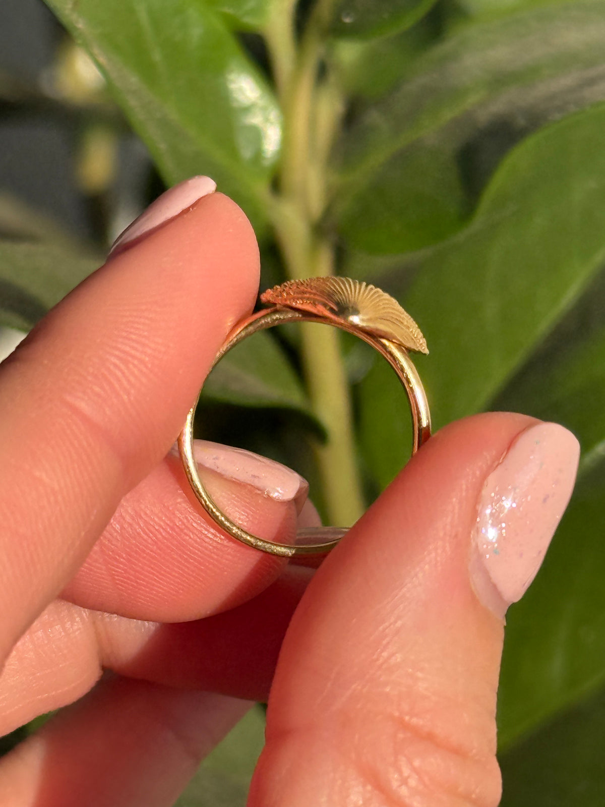 14k Seashell Ring