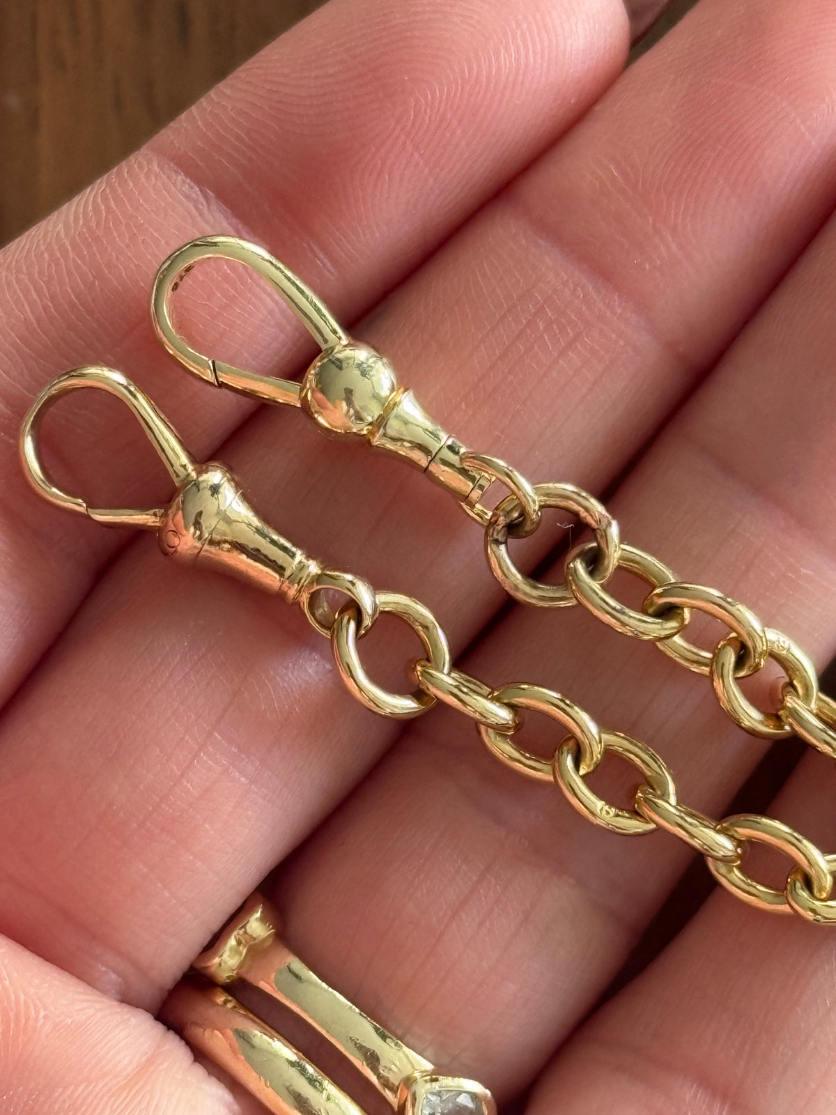Antique Fetter Watch Chain Set