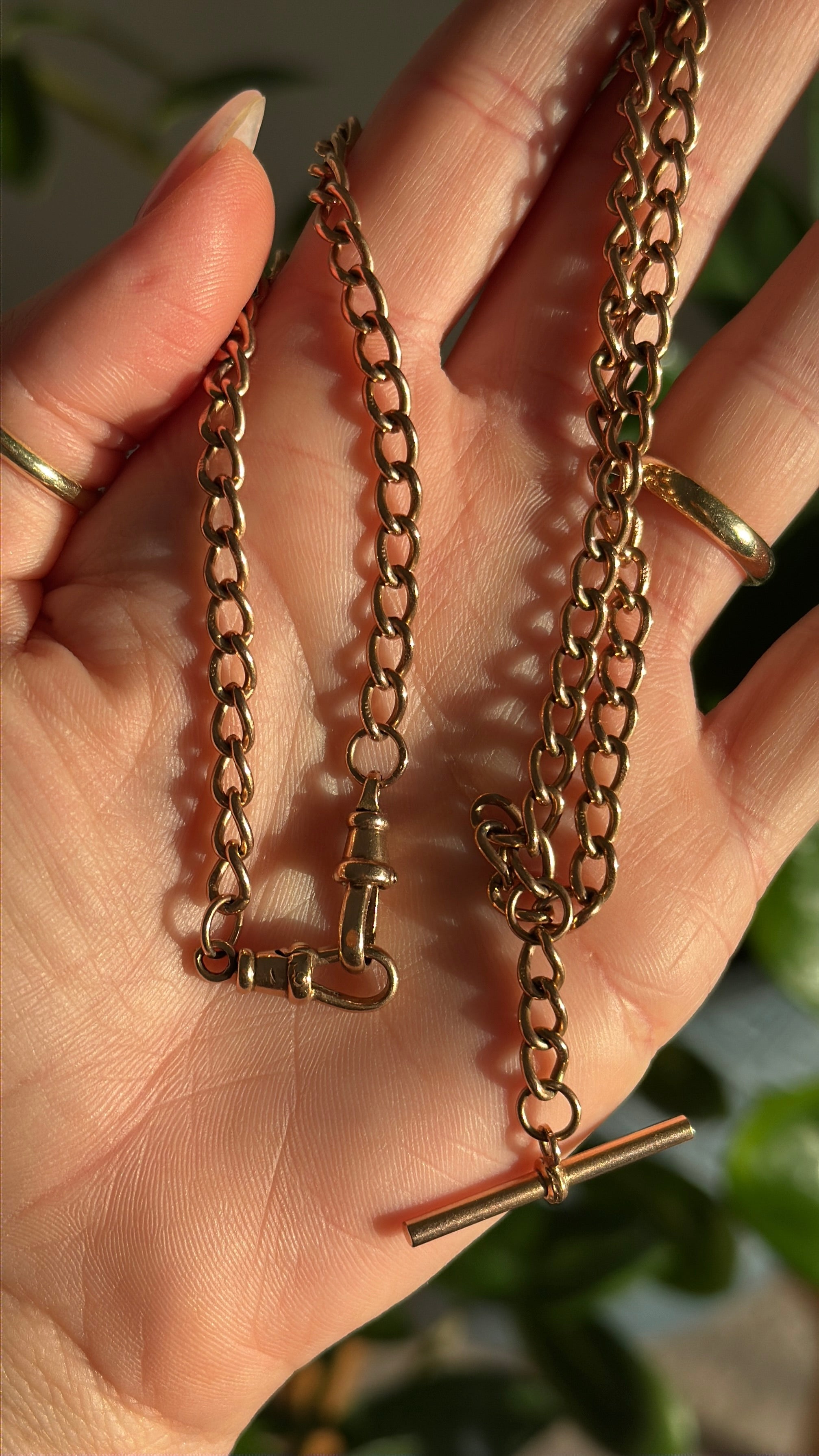 Solid Albert Watch Chain