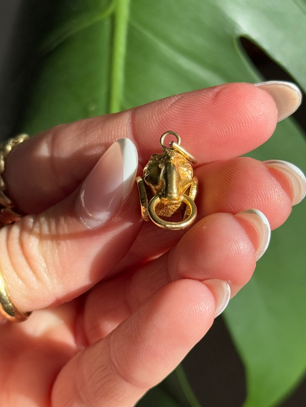 Ram Aries Italian Charm