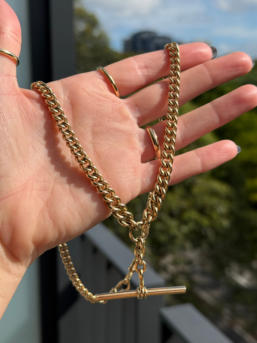 Antique Albert Watch Chain