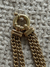 Load image into Gallery viewer, Solis Bolt Double Curb Chain
