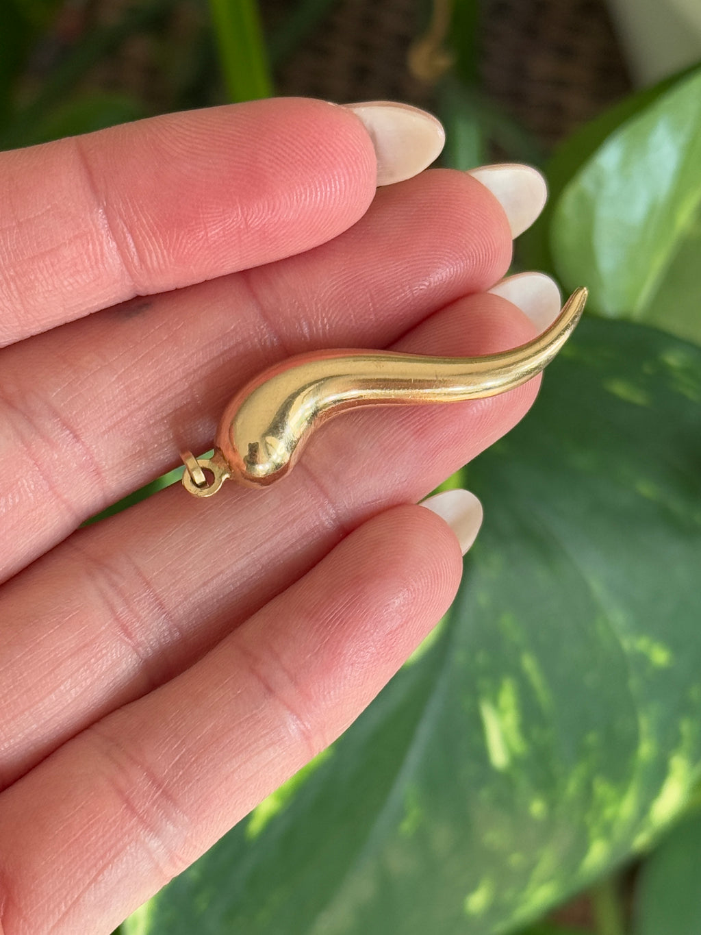 Large Cornicello Charm