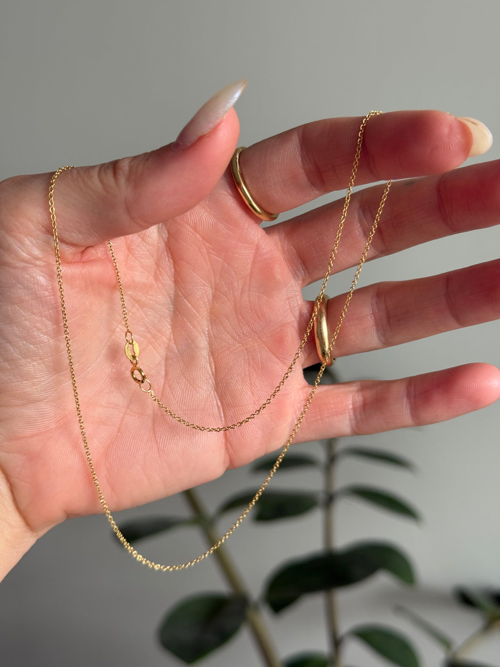 Everyday Solid Cable Chain