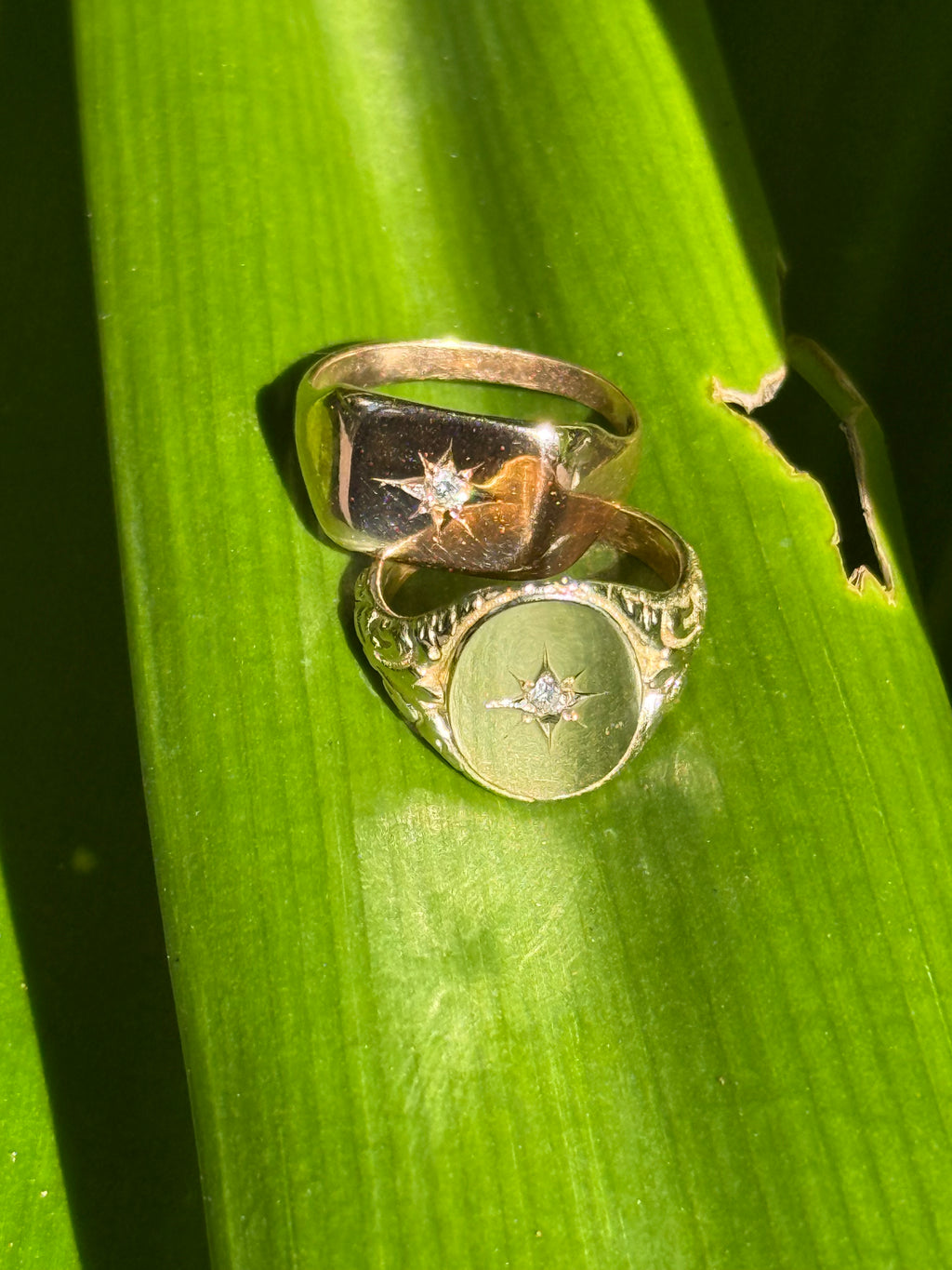 Filigree Starburst Signet Ring