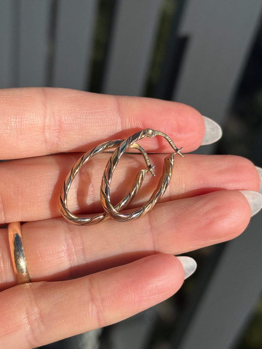 Tricolored Oval Hoops