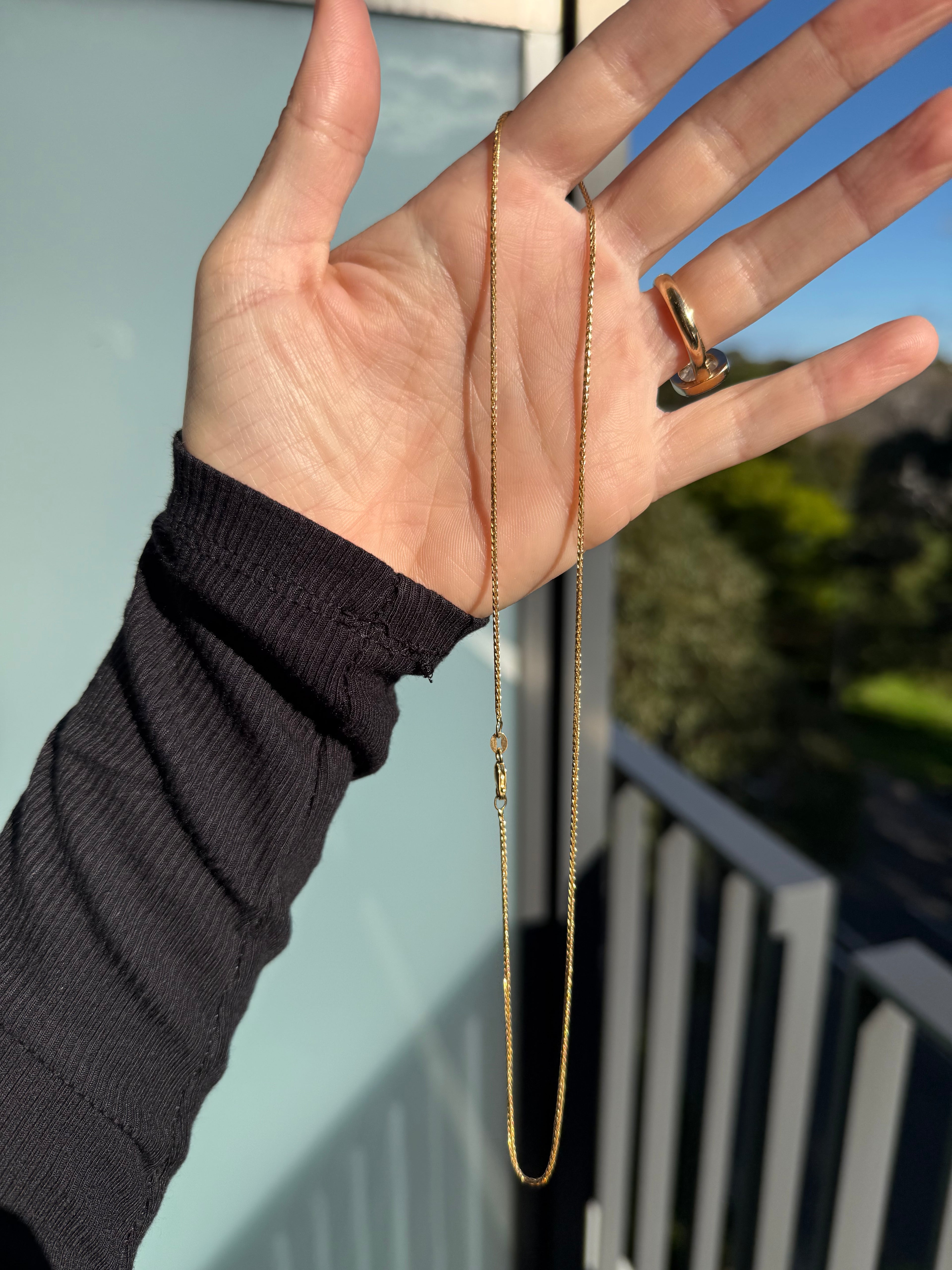 Shiny Fishtail Chain