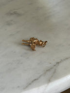 Reading Wizard Charm