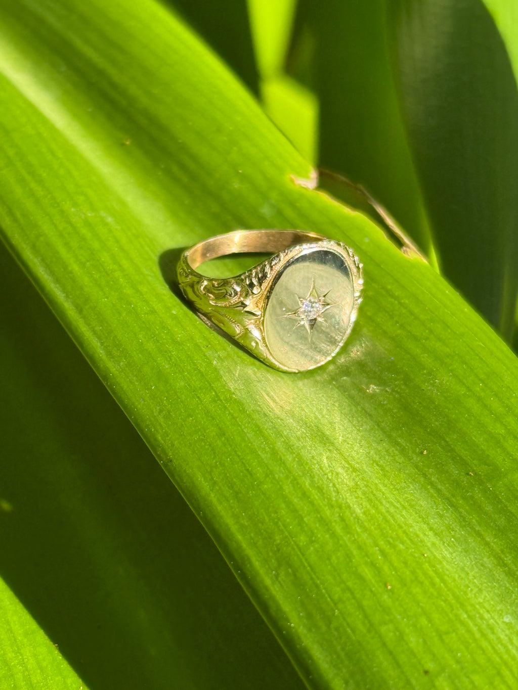 Filigree Starburst Signet Ring