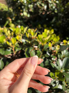 Opal Bezel Bypass Ring