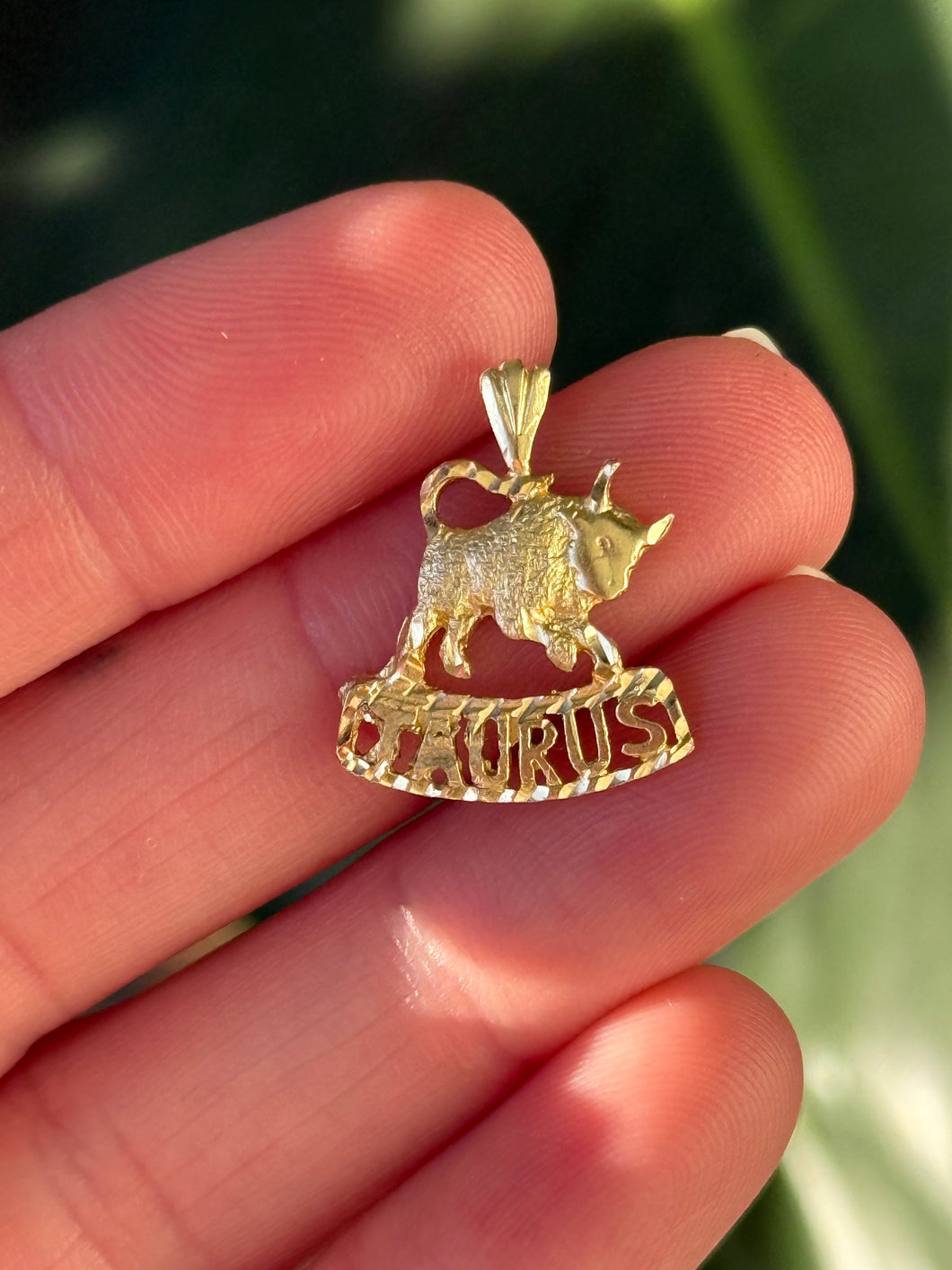 Taurus Charm