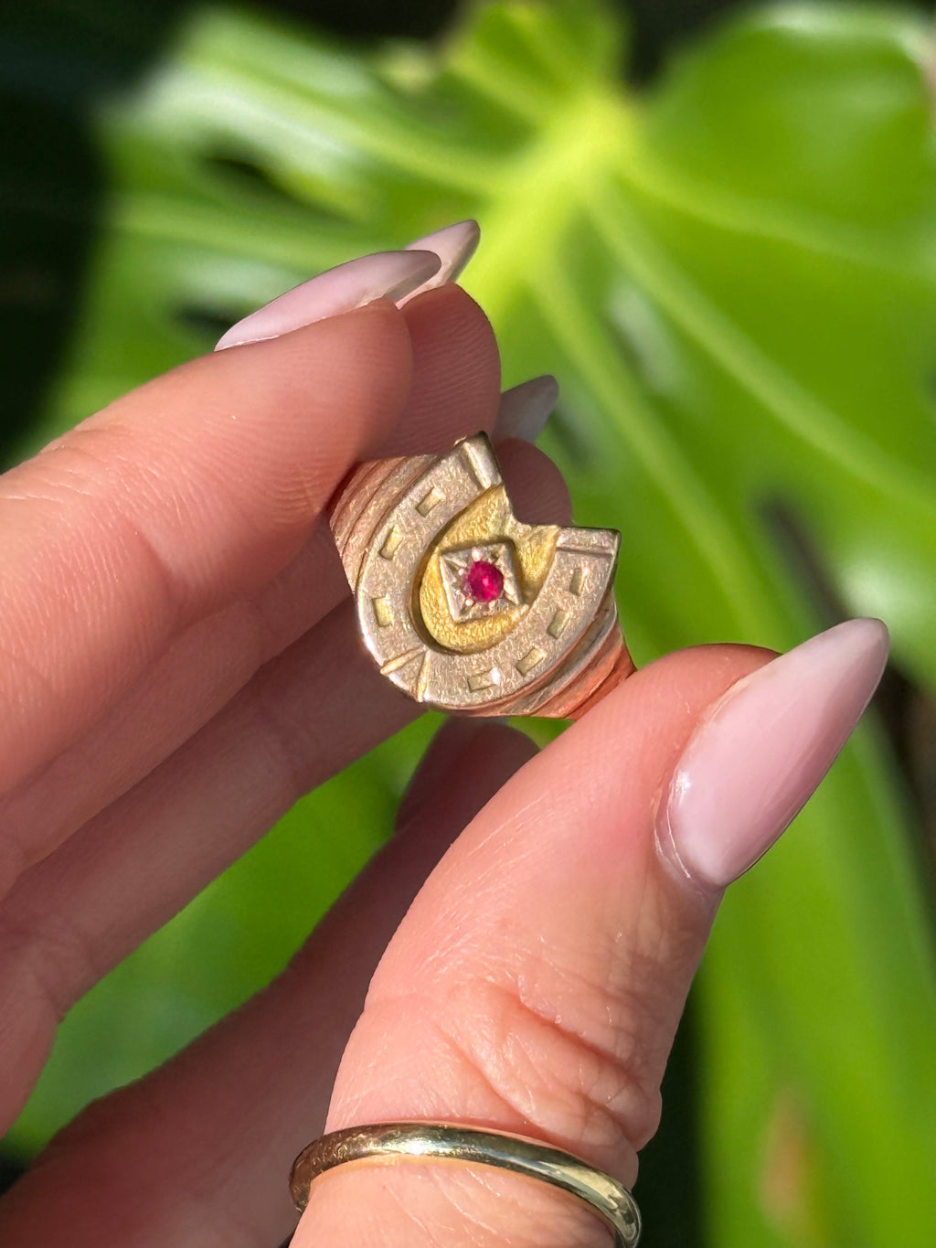 Antique Ruby Horseshoe