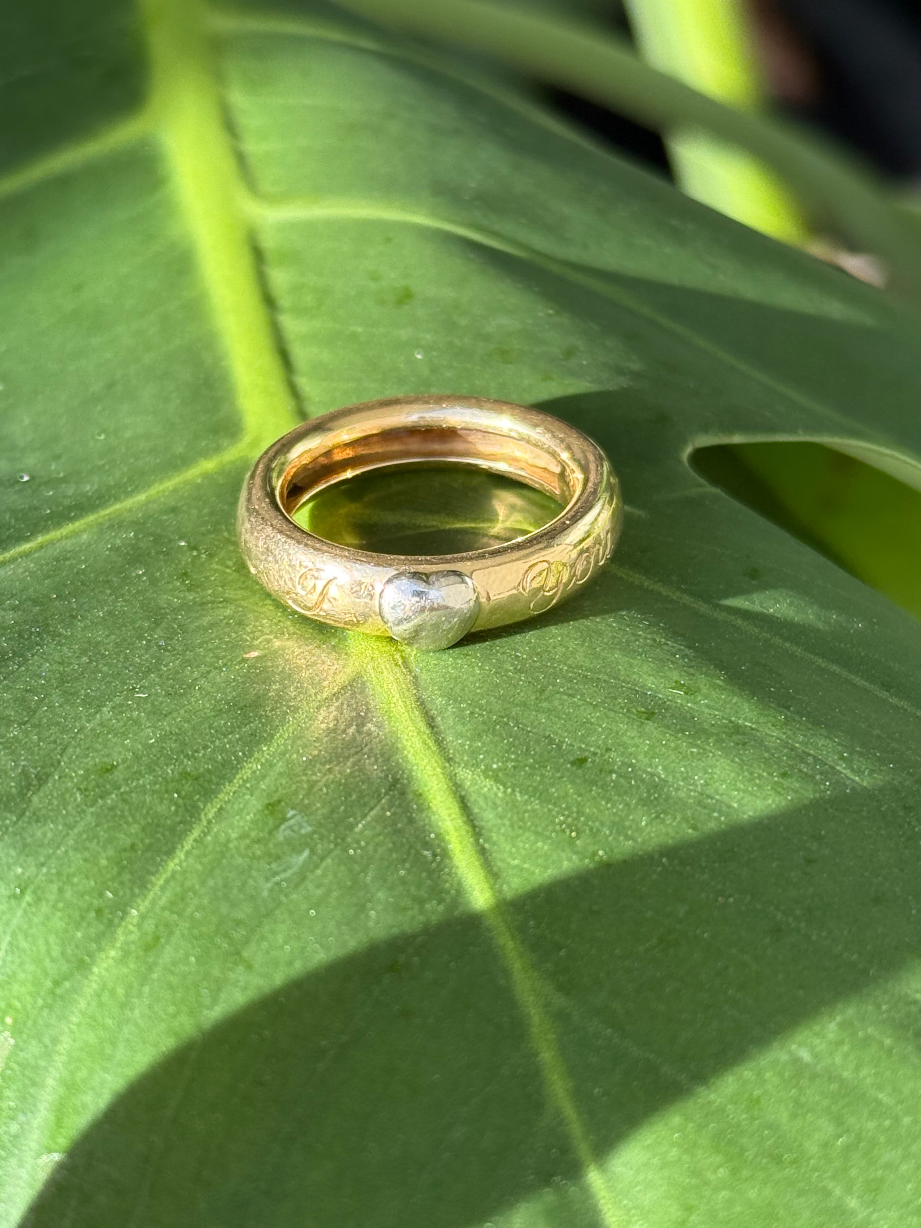 Love Heart Donut Band