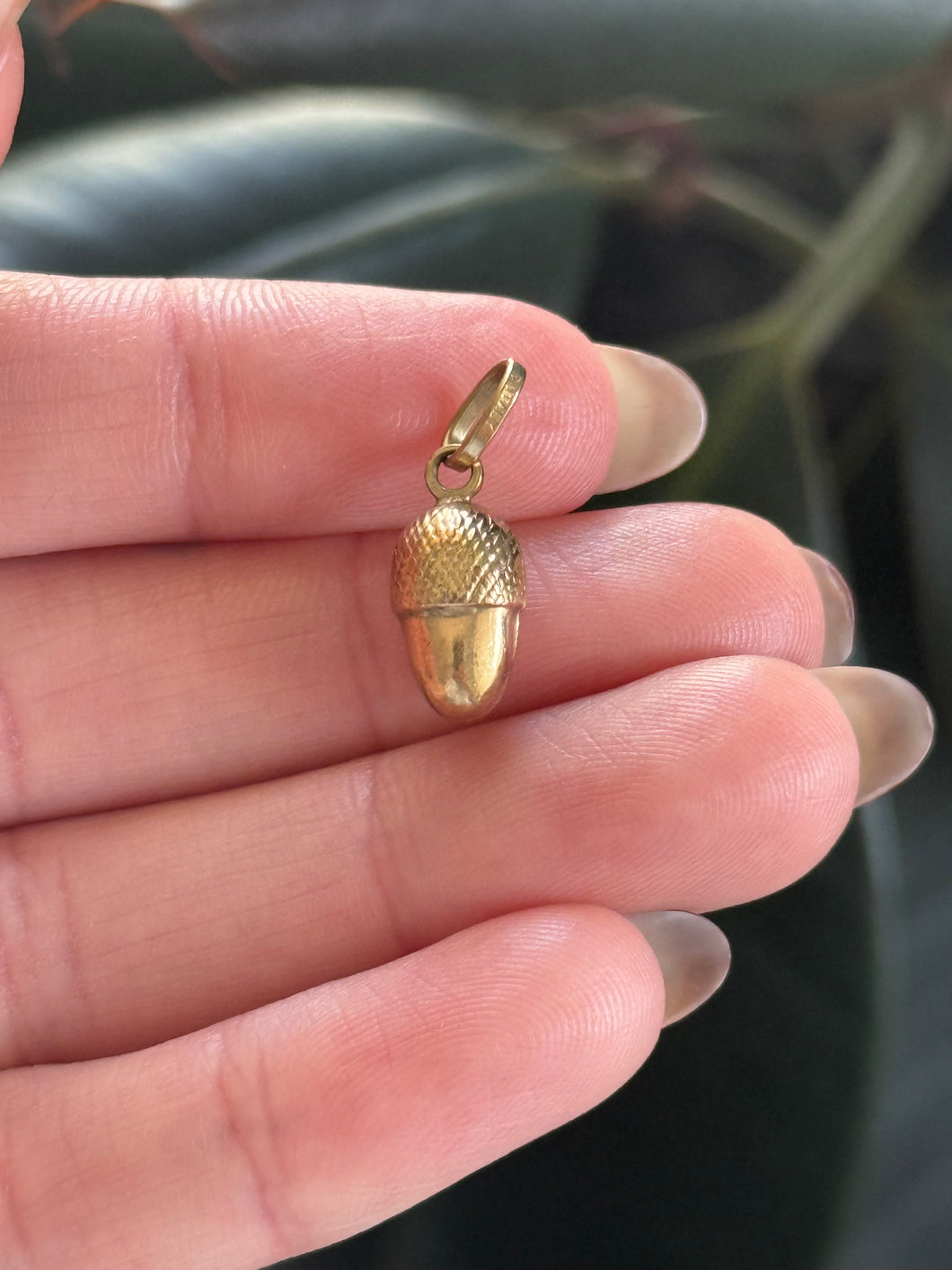 Acorn Charm