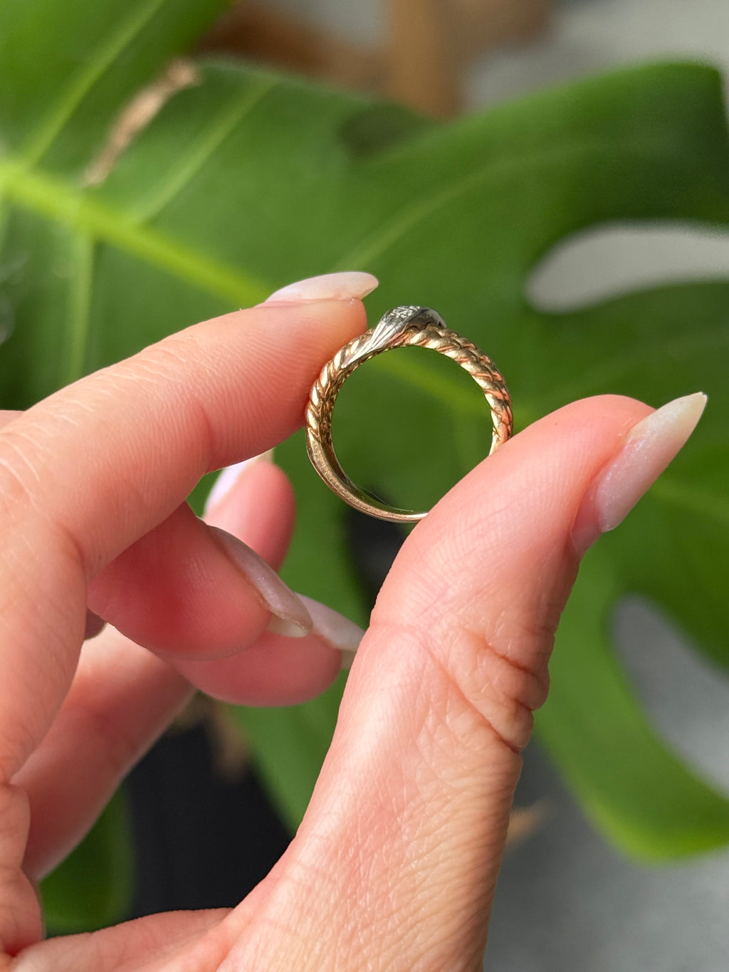 Twisted Rope Diamond Ring