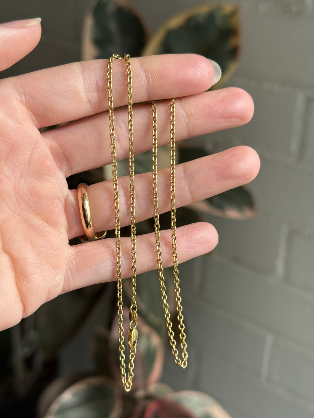 Solid Everyday Cable Chain