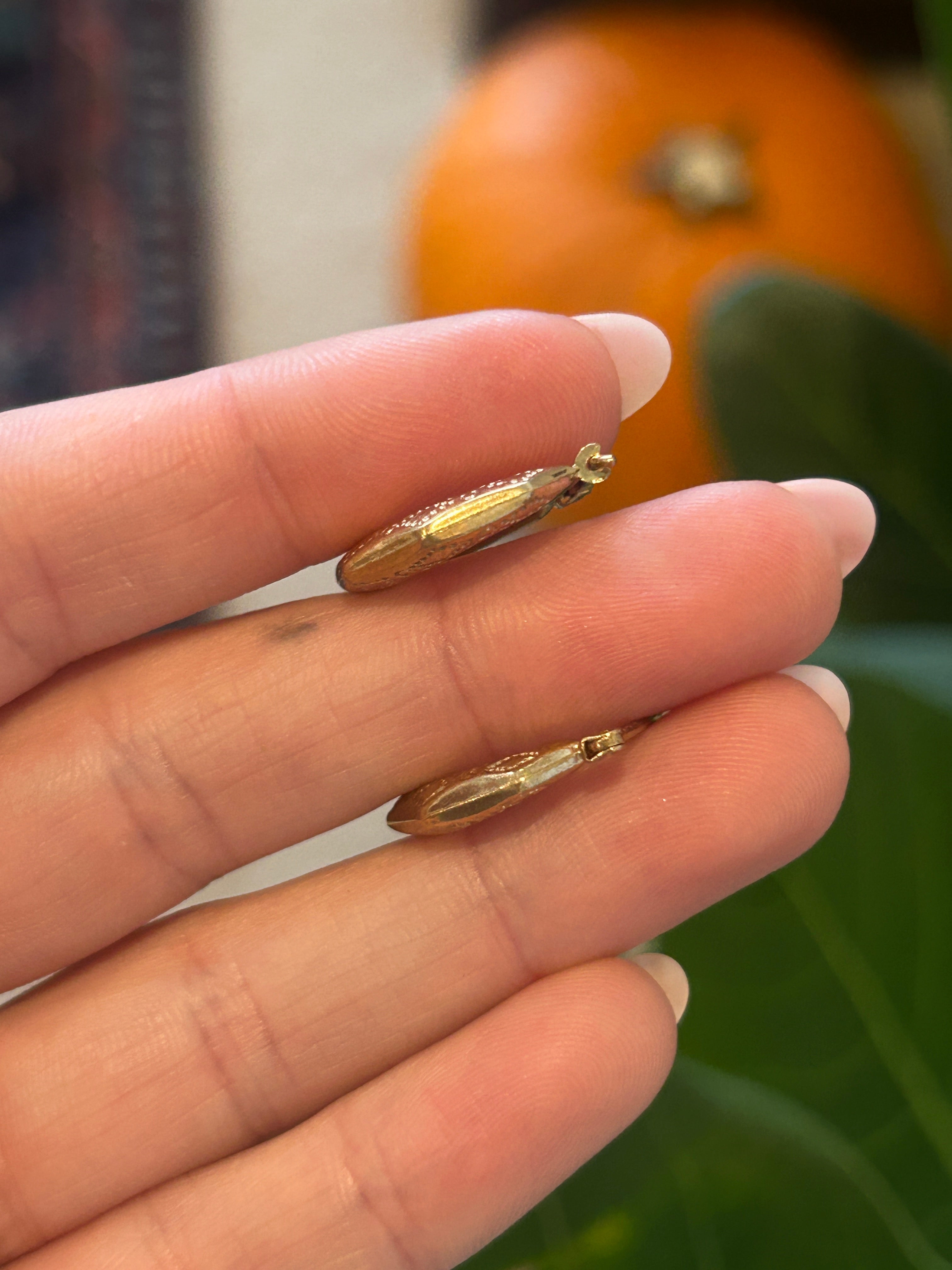 Ornate Octagonal Hoops