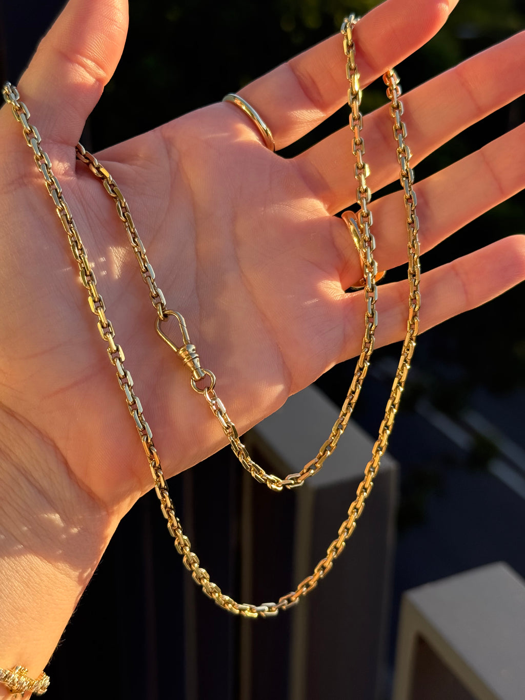 Solid Long Biker Chain