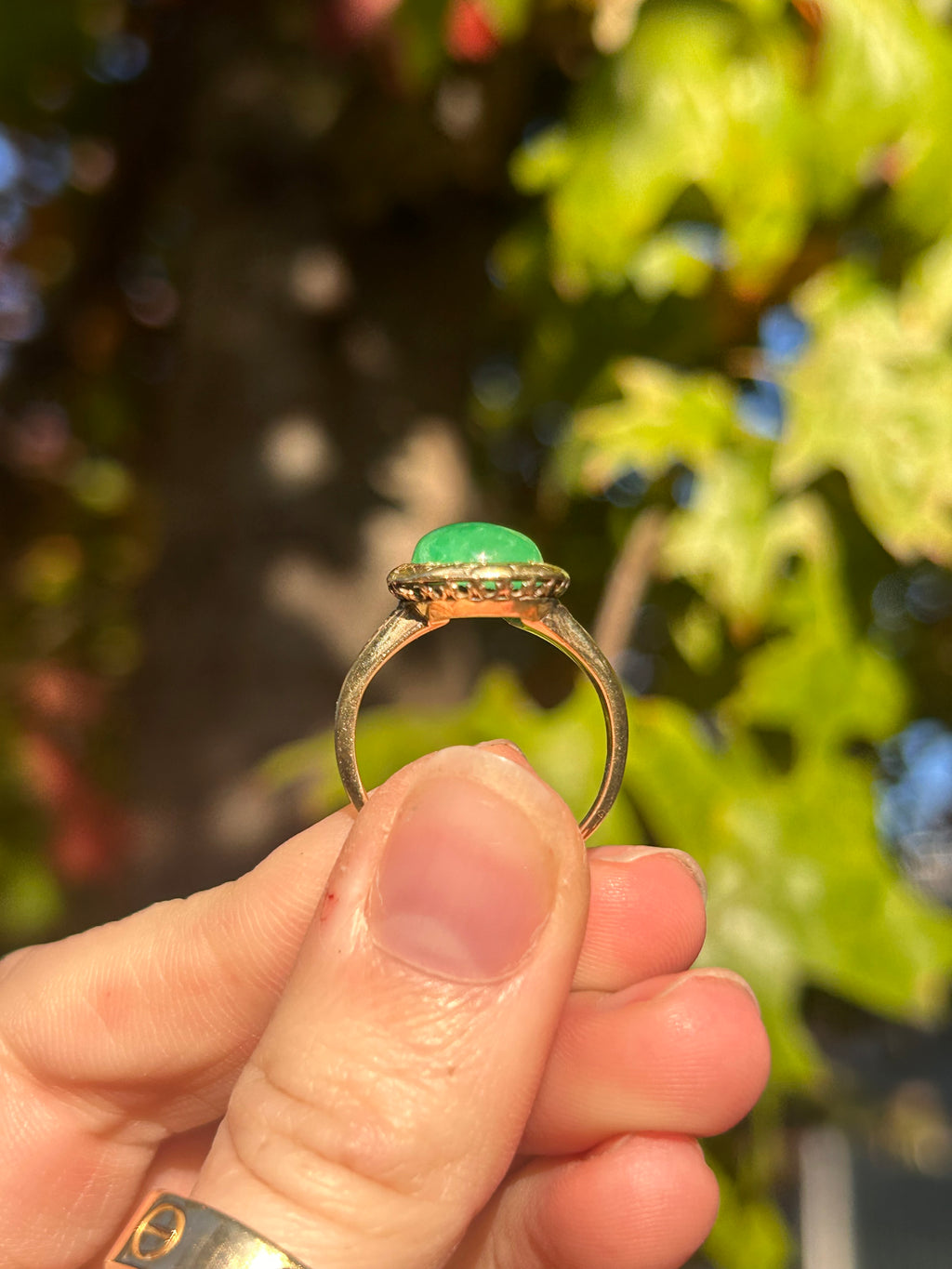 Jade Ring