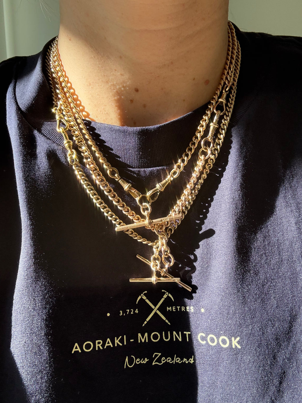 Antique Albert Chain
