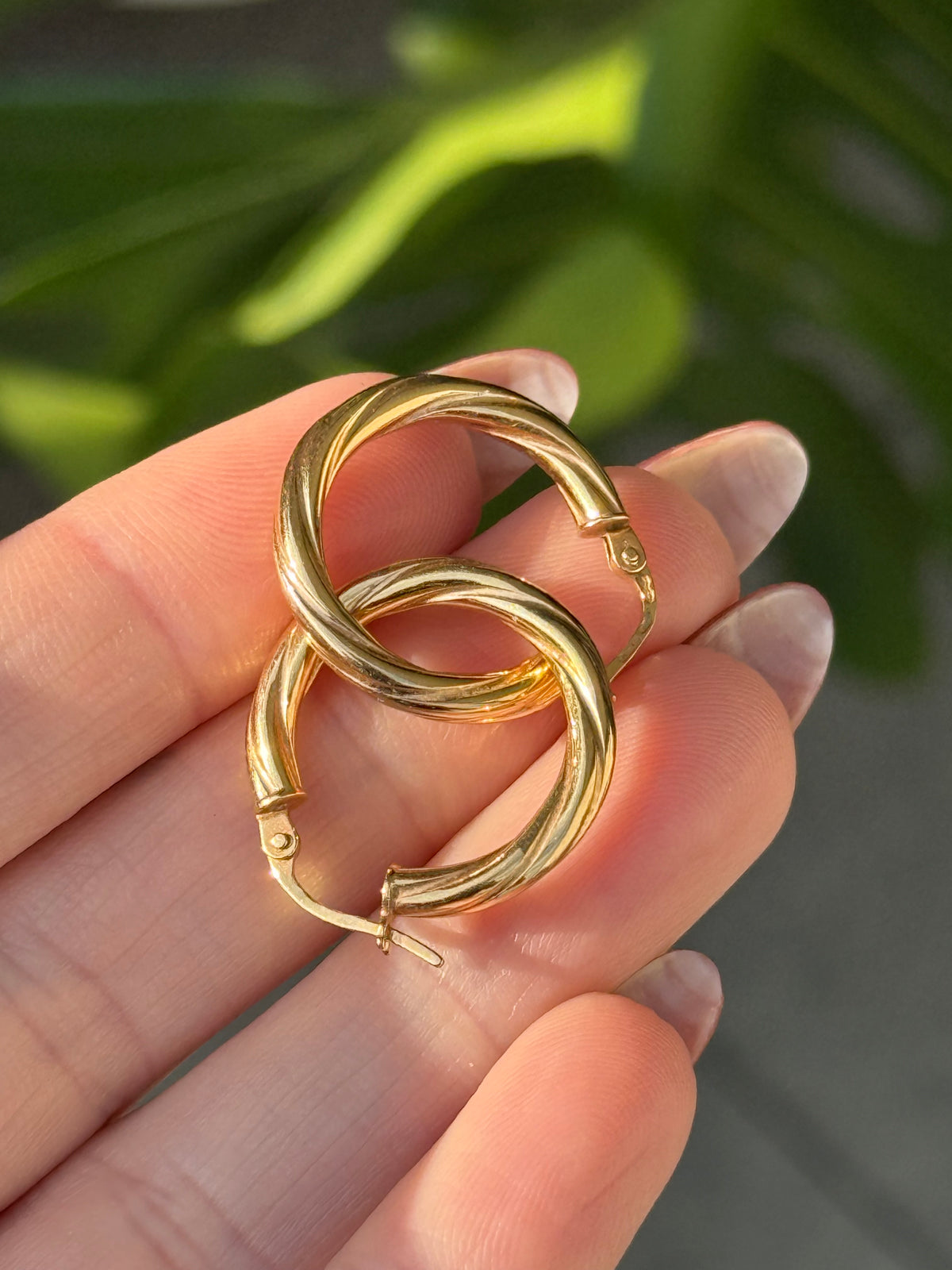 Classic Twist Everyday Hoops