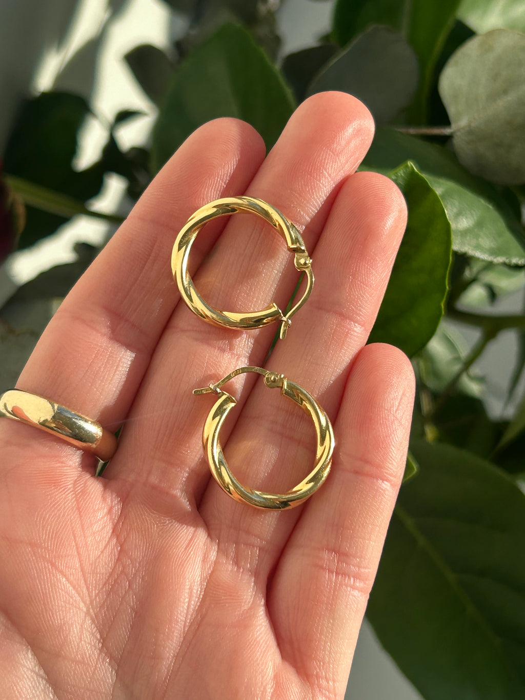 Everyday Twisted Hoops