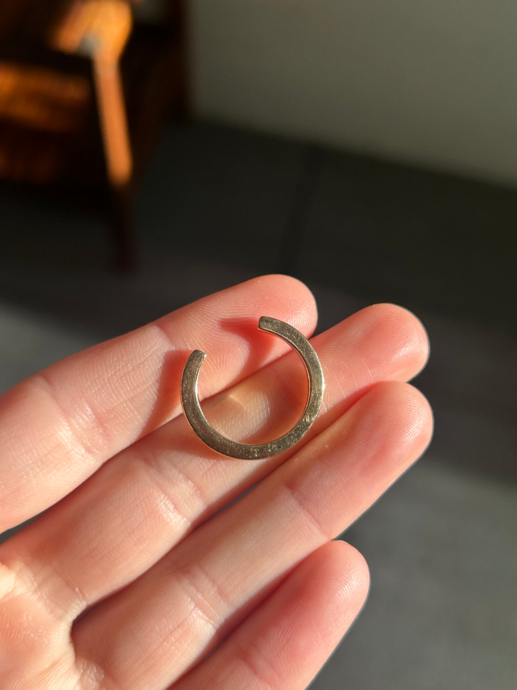 Horseshoe Ring