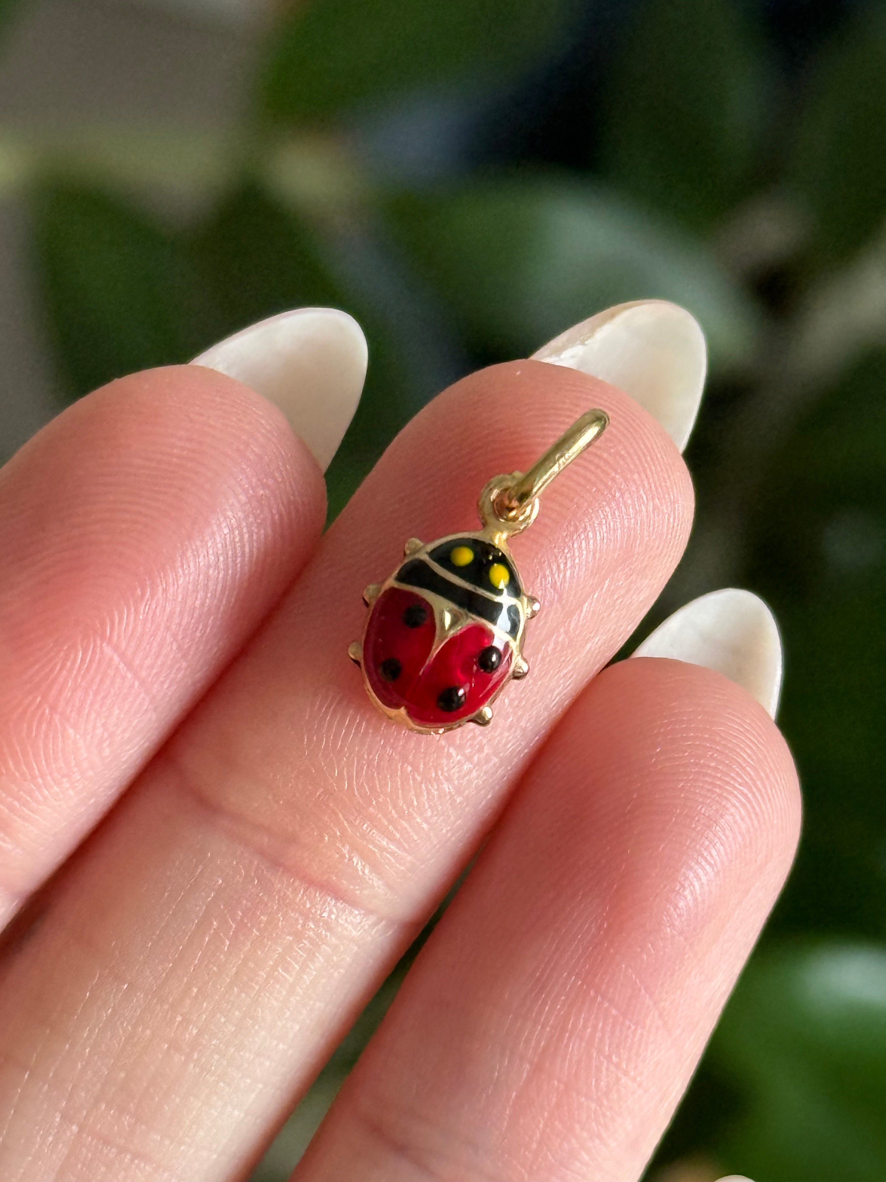 Enamel Ladybug
