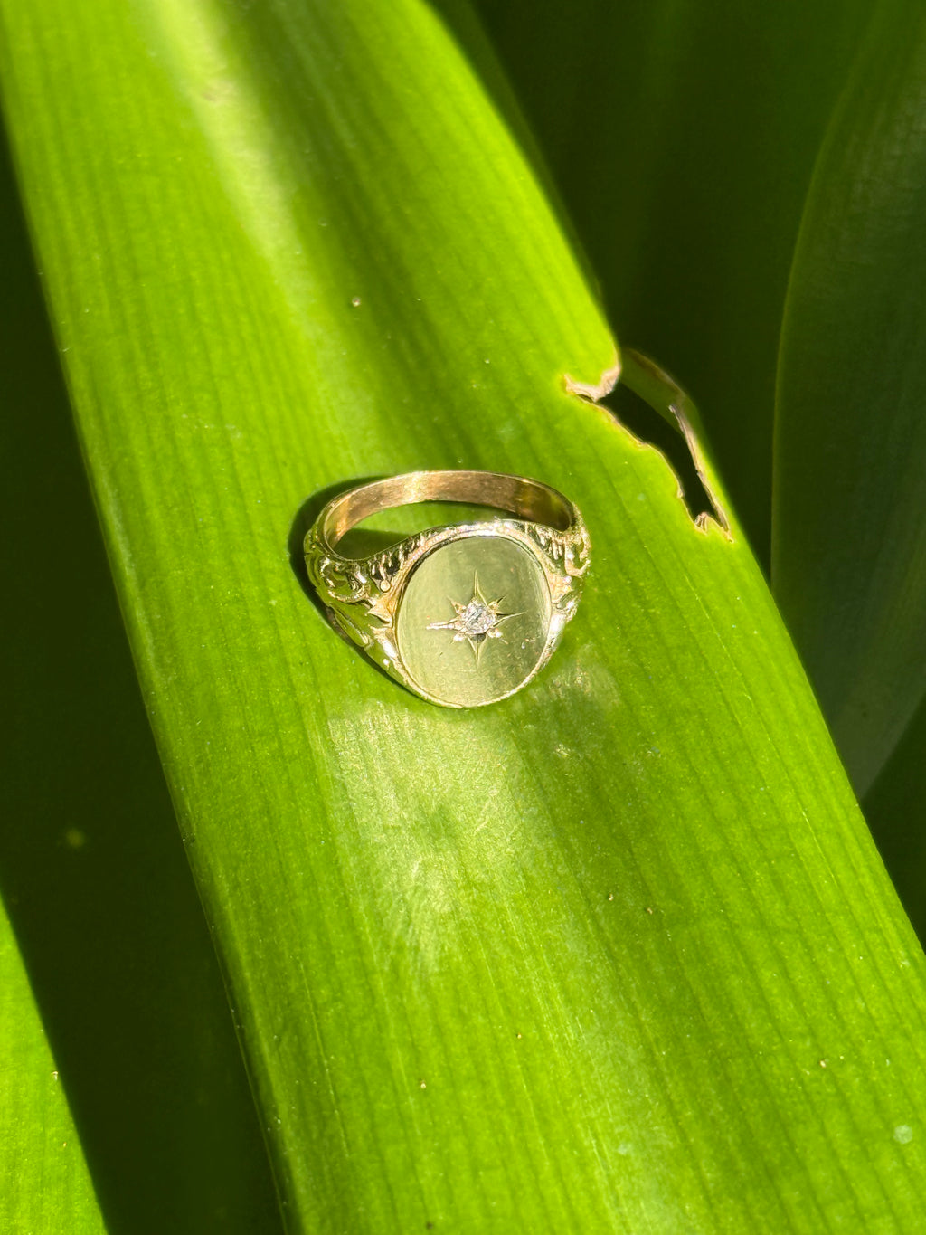 Filigree Starburst Signet Ring