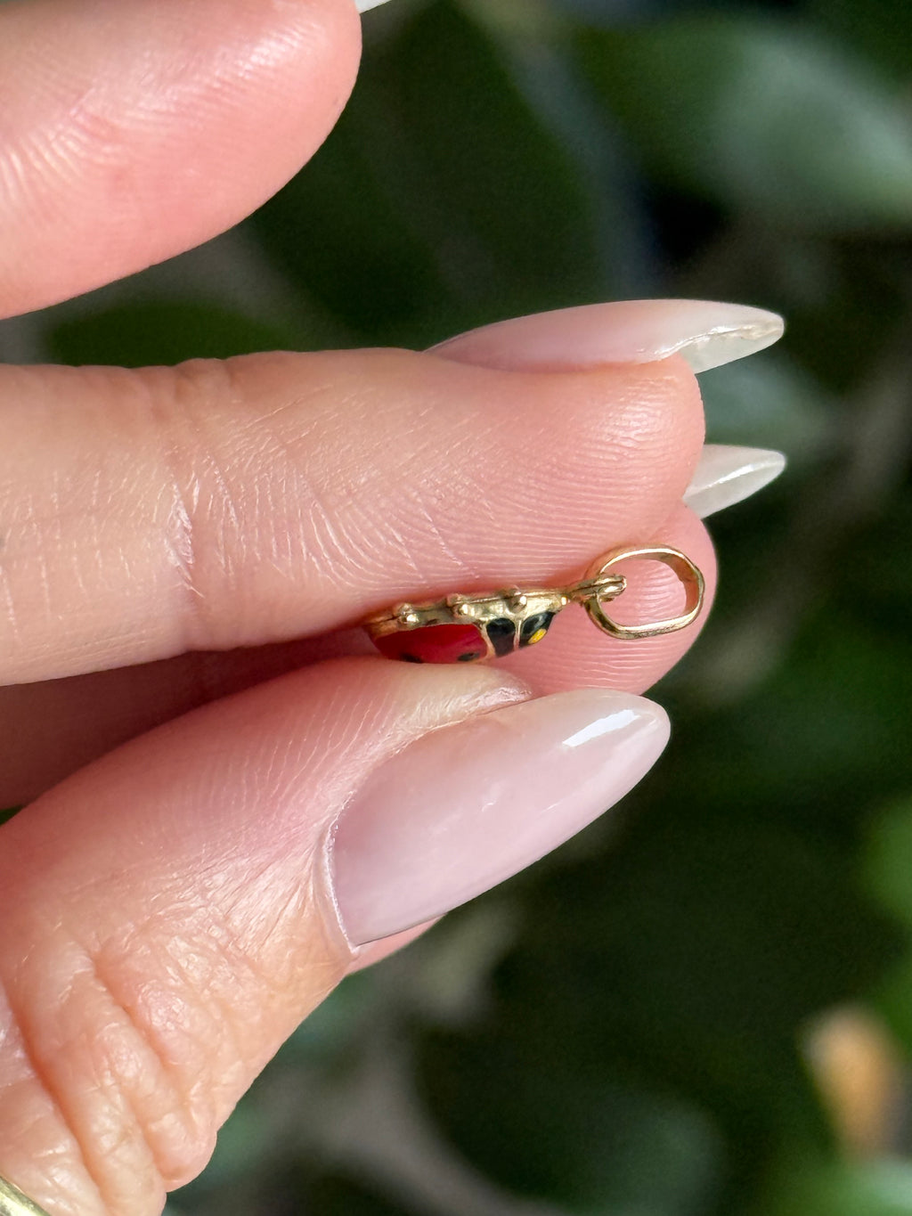 Enamel Ladybug