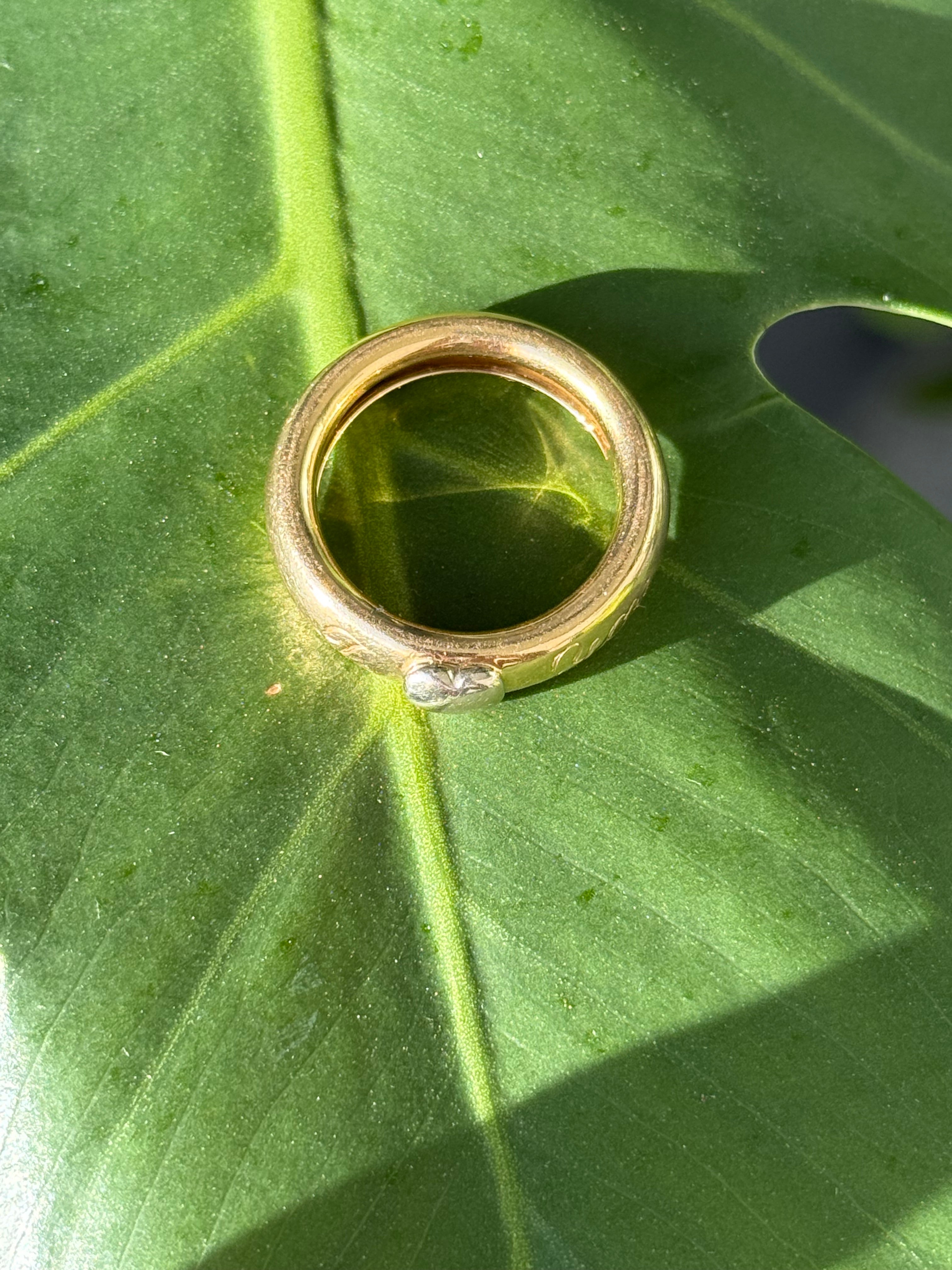 Love Heart Donut Band