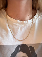 Everyday Solid Figaro