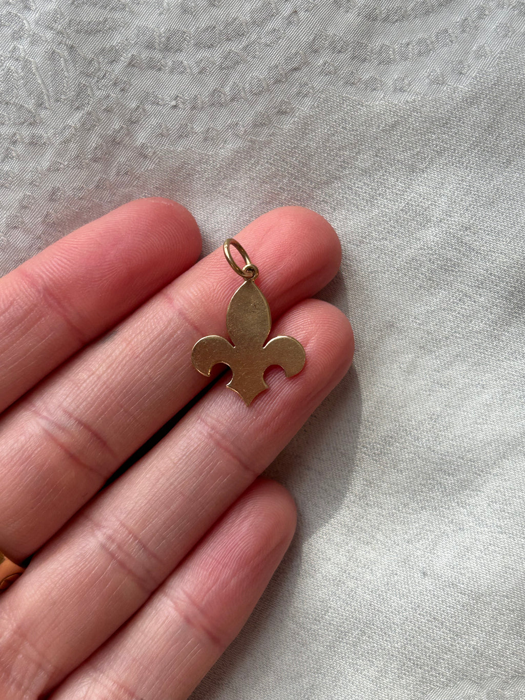 Fleur De Lis Charm