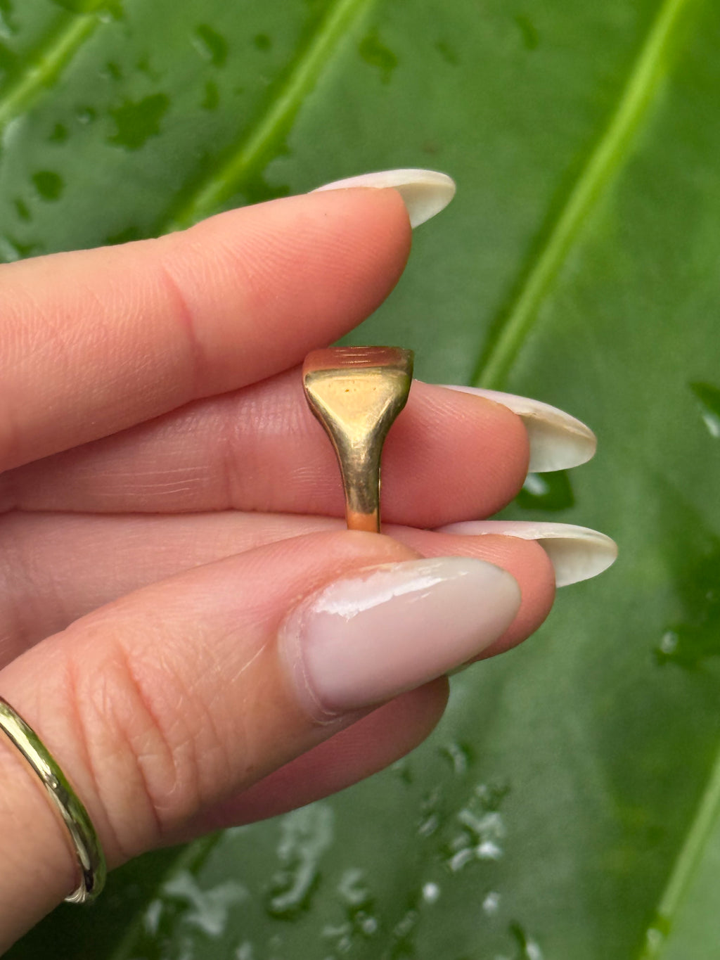 Antique Starburst Signet