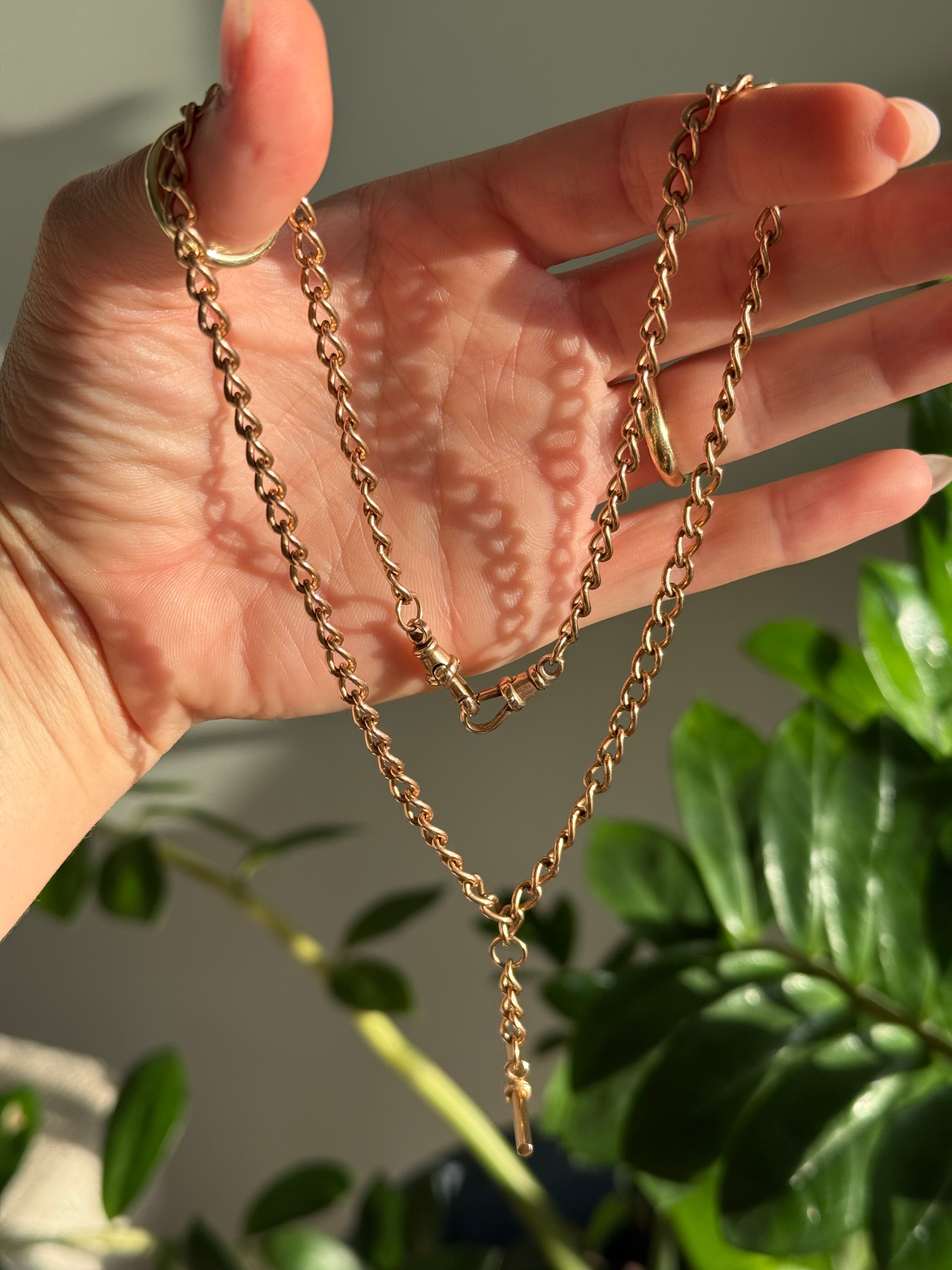 Solid Albert Watch Chain