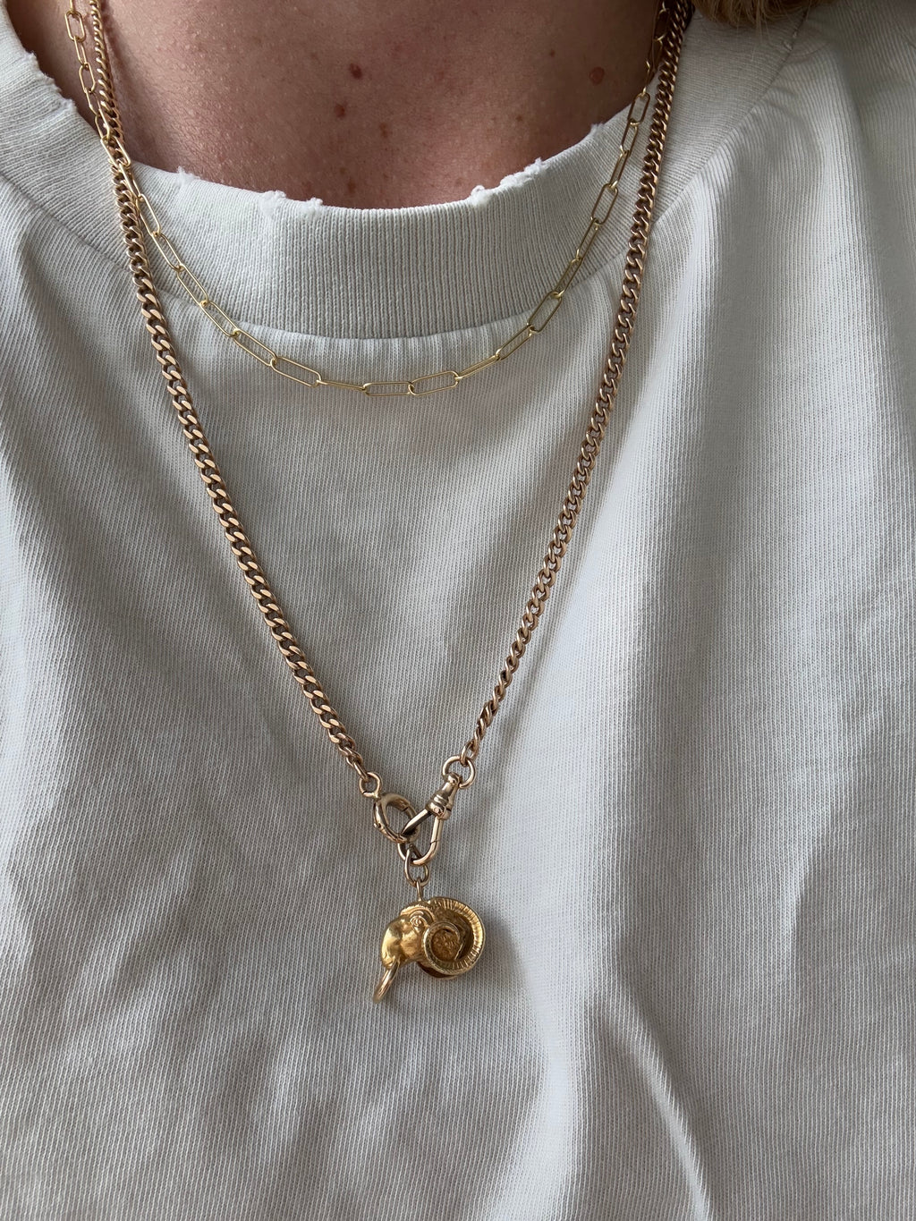 Ram Aries Italian Charm