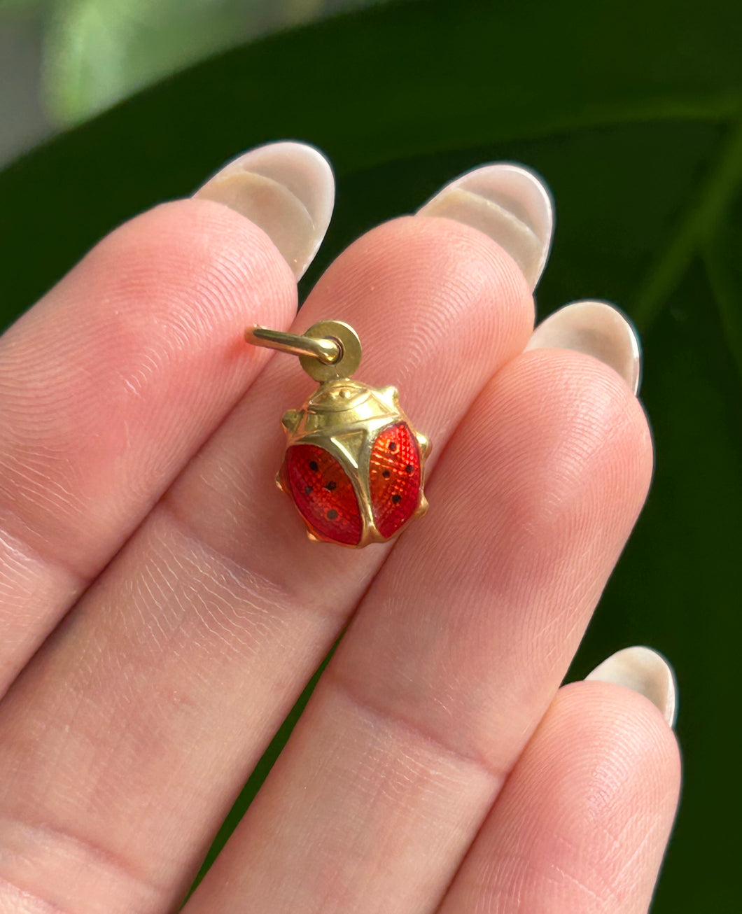 Enamel Ladybug