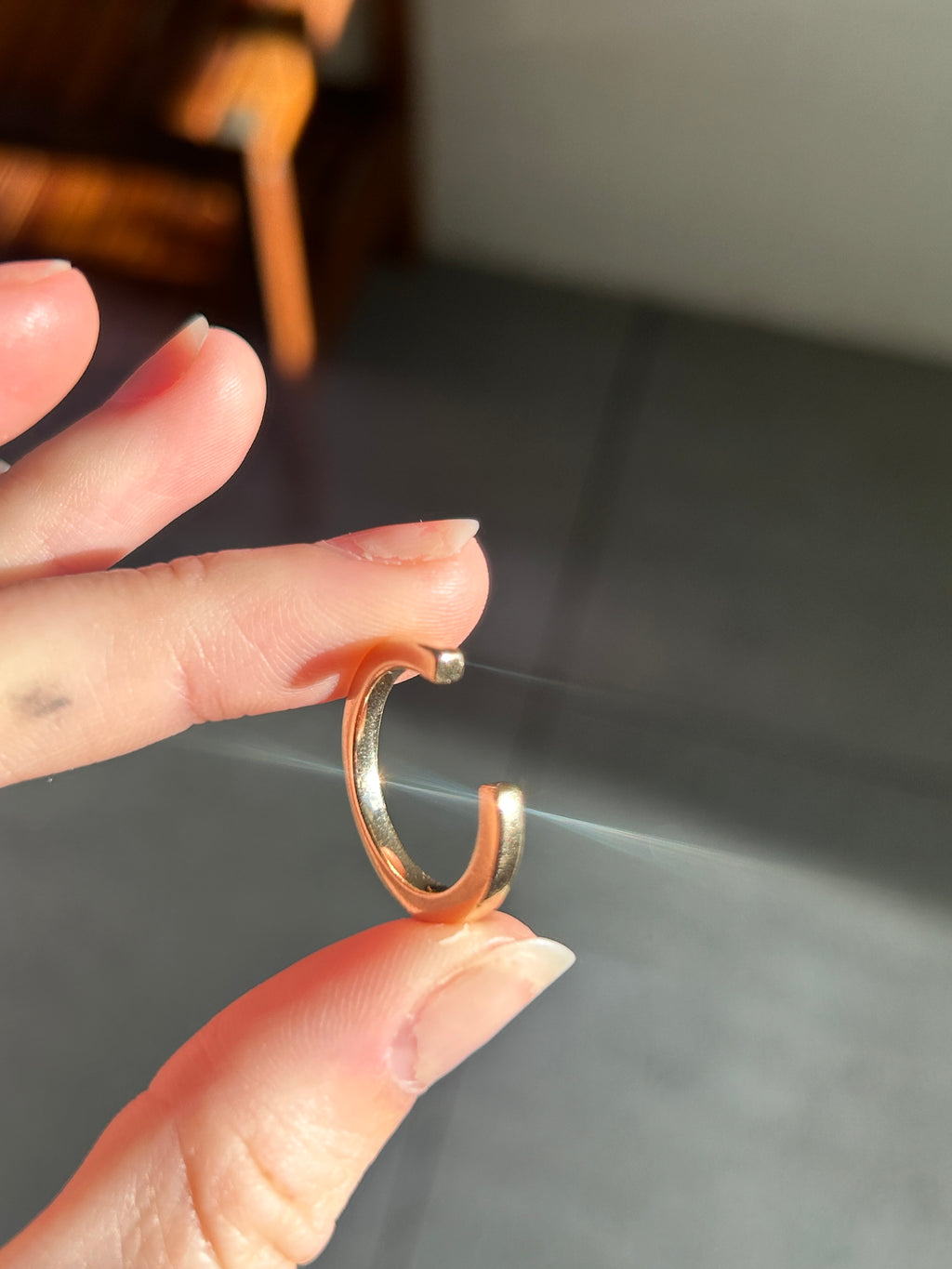 Horseshoe Ring