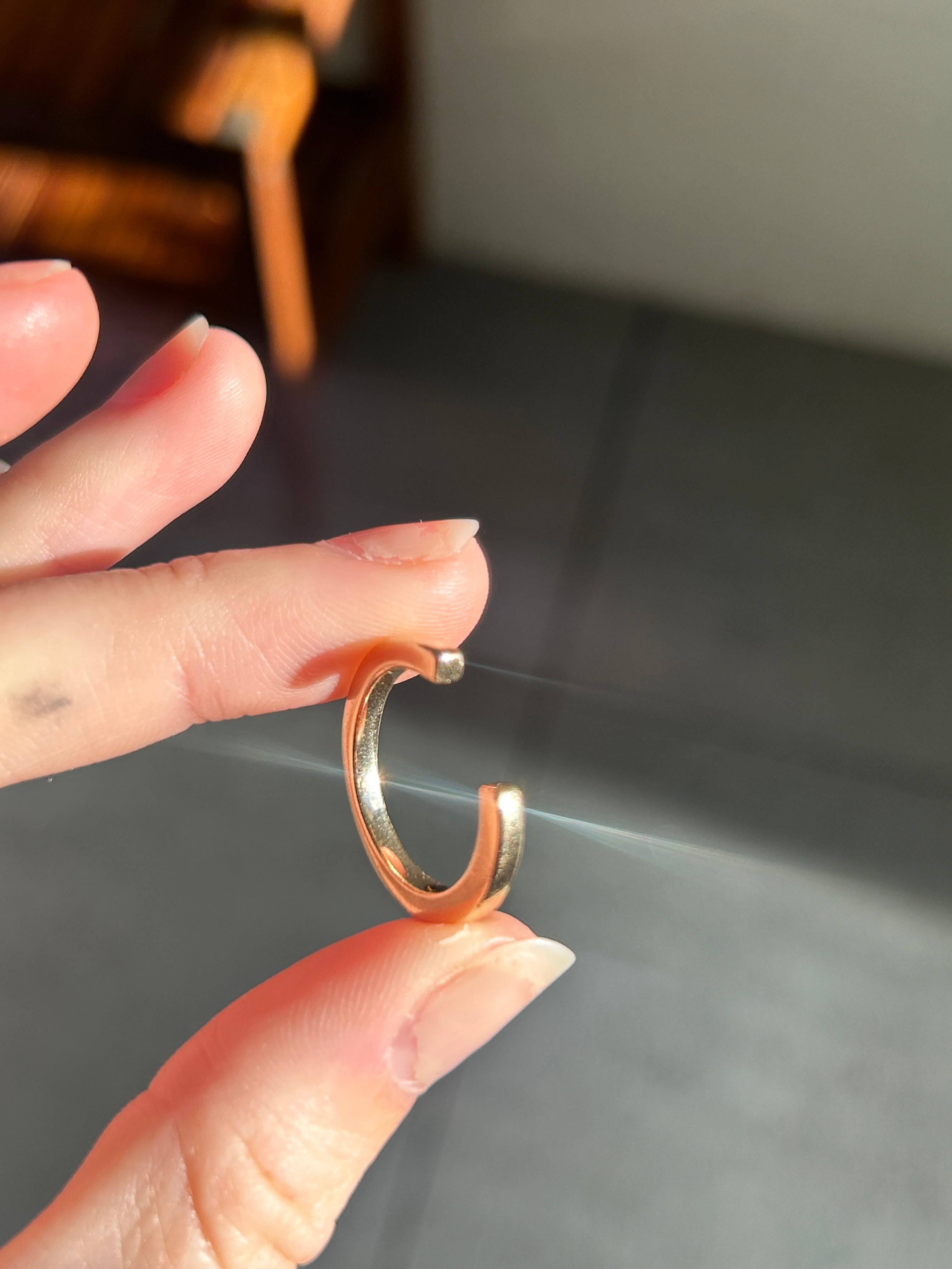 Horseshoe Ring