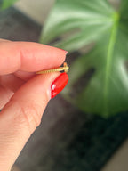 G Heart charm