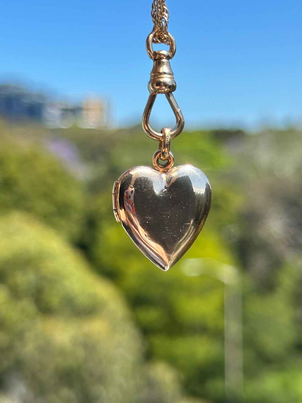 Heart Locket